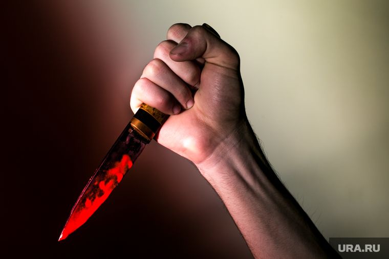 ���� &laquo;�����&raquo;* ������� � �������� ��������� ����� � ��������