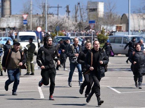 ������������ �� �������: ������-���������� 24 ������