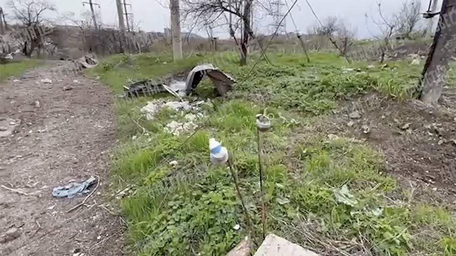 ������������ � ���� ����������� ������������ ����� ������� ���������