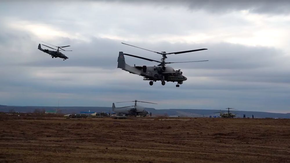 ����������-����������� � ��������� ������� ������ �������� ��� 87 �������� �������