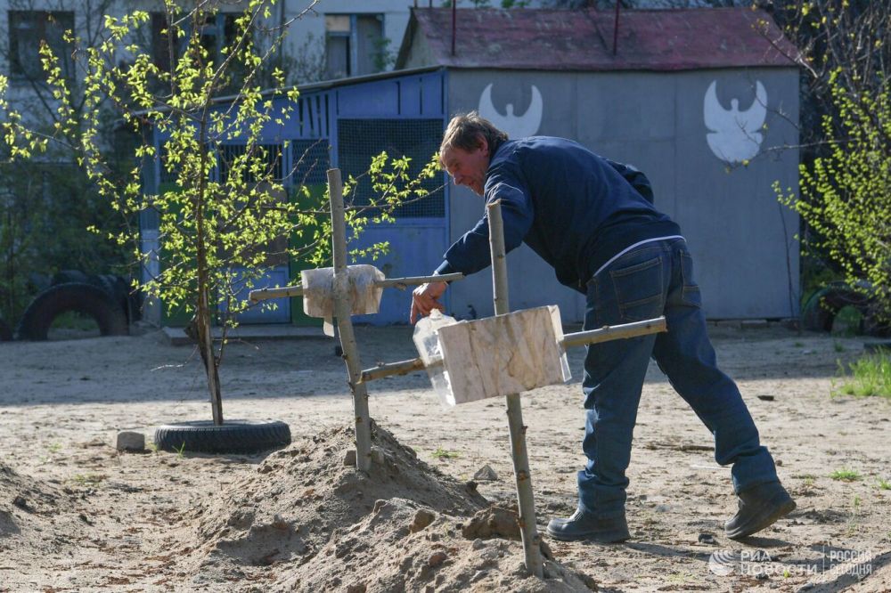 �������� �������� ���������, ��� ���������� �������� ������� �� ���������