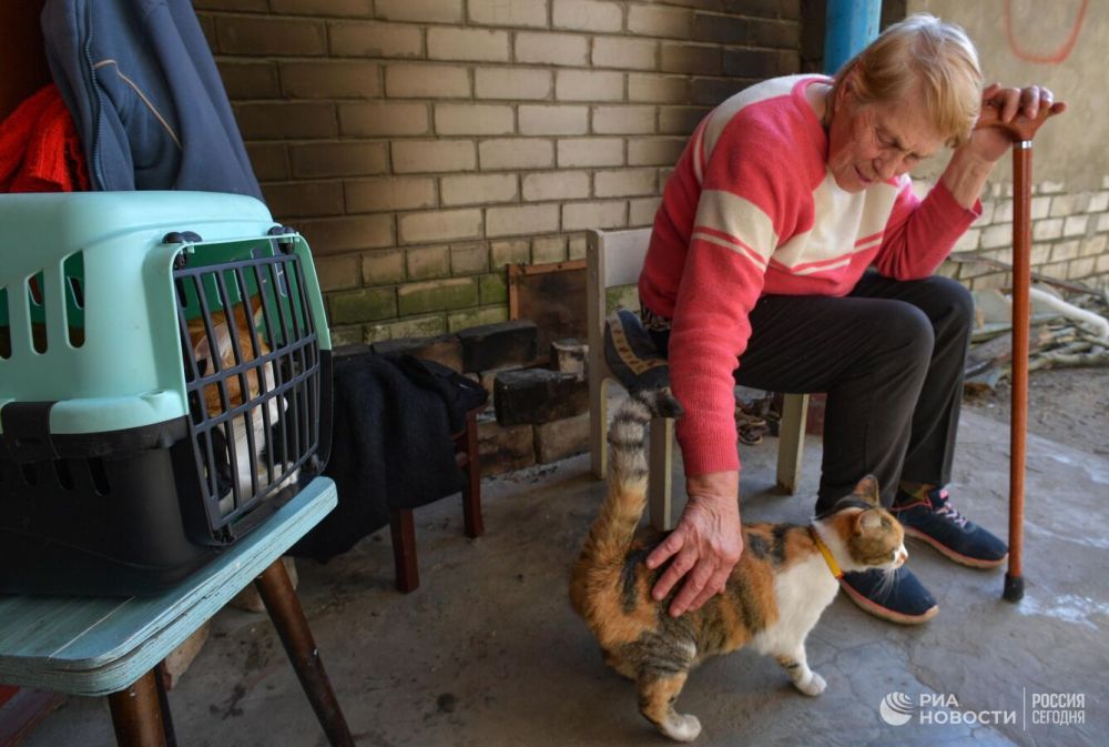 �������� �������� ���������, ��� ���������� �������� ������� �� ���������