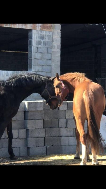 ����� � �����. ������ �������� ����� ���������� ���������� �����