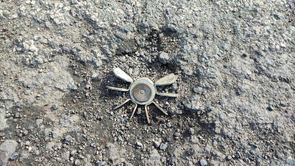 �������: ����������� ��� � �������� ��������� � ������� ���� ������