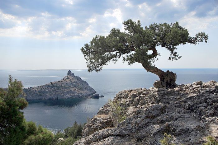 ����� ������ ������� �� ������������� ��������� �������� ������������ ���