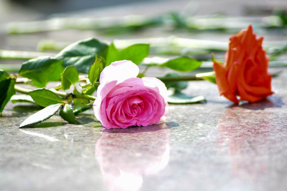 ������� ����� � ������ ������ ������� �� �������