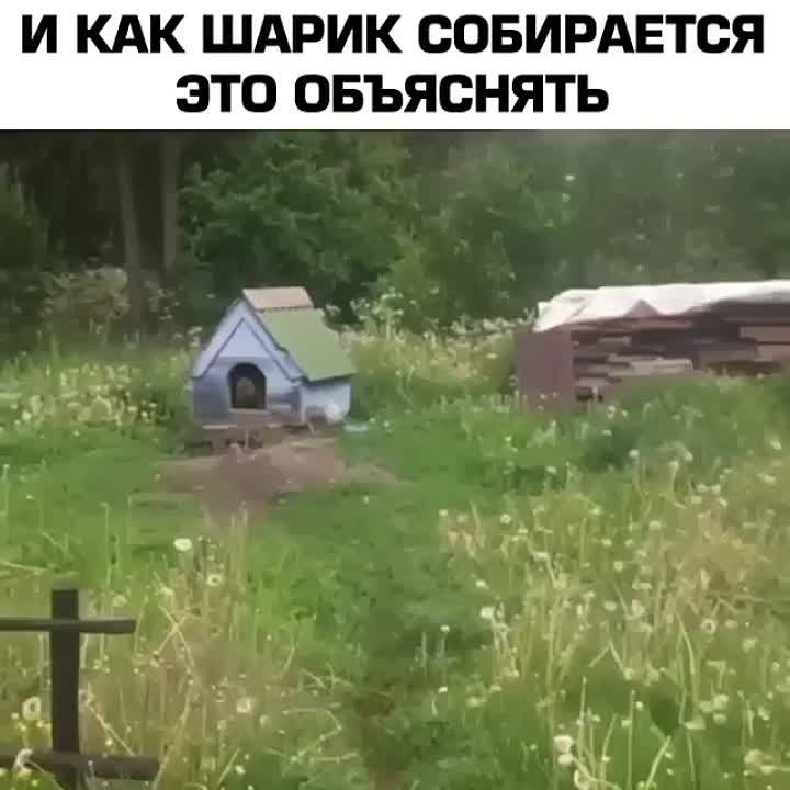#����