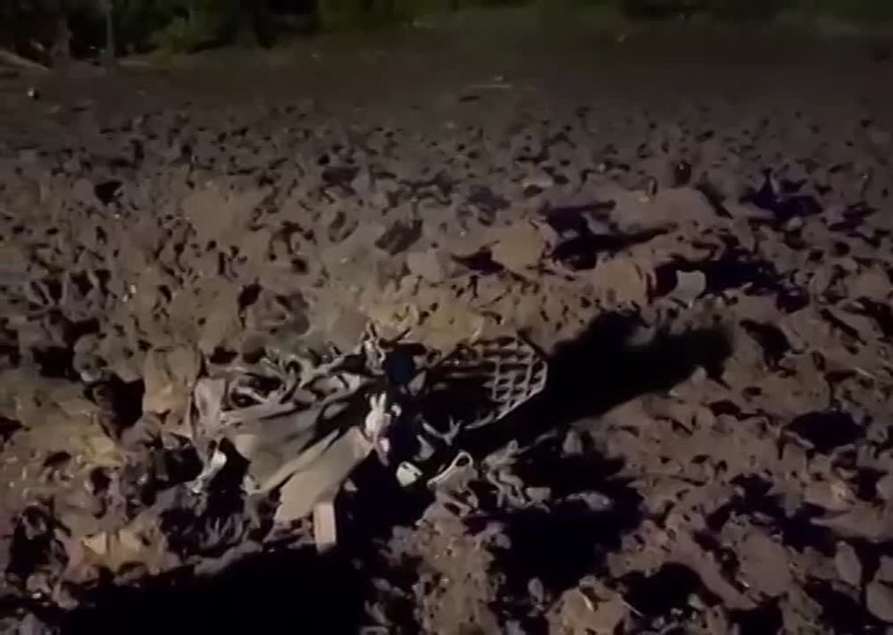 � ���������� � ��� ���������� ������� ��� ����� 2 ���������� ������ ������-ӻ
