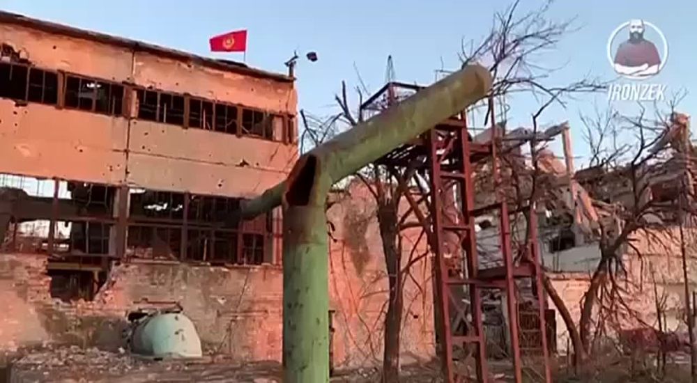 ��� ������� ����������� ������������� � ���������� ����������� � ������ ���� ������� ���� ������. ����� � ���� ���������� ������� �� ��������-������ ������������ ������