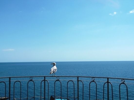 Азовское море полностью перешло под контроль ДНР и РФ