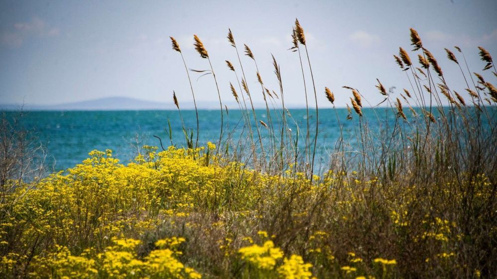 В Крыму рассказали о новом статусе Азовского моря