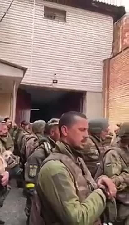 ����� 115-� ������� �� �������� ������� ��� ������� � � �� ��� �� ��������� ����������� � ��������� � ����