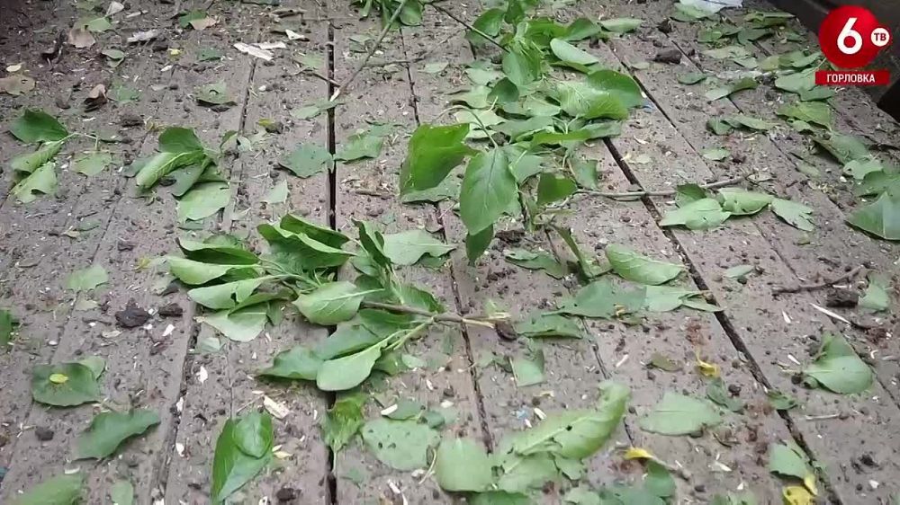 ������� ���������� ���������