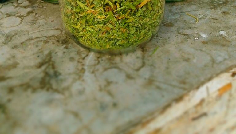 ������ ������� ������� ���� �������� ������������� �������