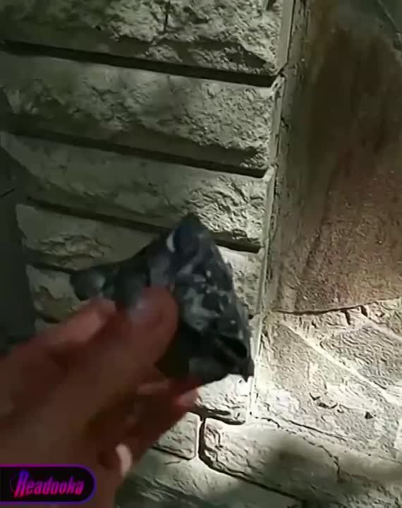 ����������� ��������� ��� � ������� � �� ������ ������� ����� �������� �������