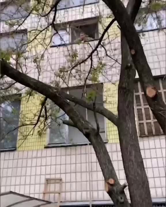 ������� ��� ������ �������� ������ ��������� � �������