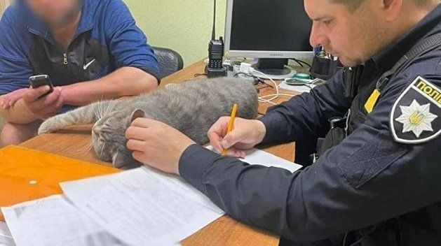 ����� ������ � ����������� ���������� ��� �� �� ���, ������� �����������, �������� ��� �������. ������� ������� �� ������� �� 16:00 2 ����