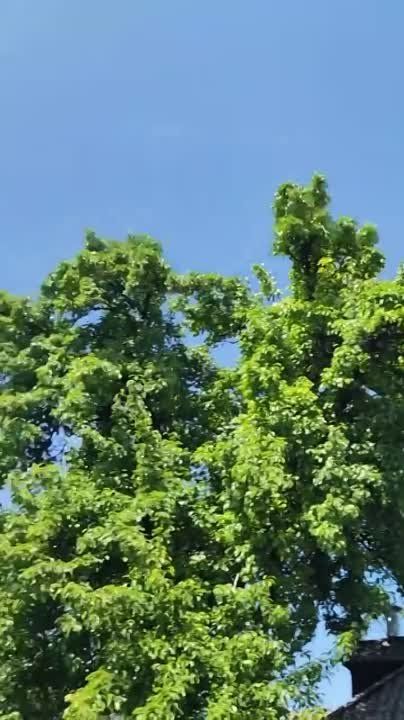 ��� �������� � ���������� �������� ���