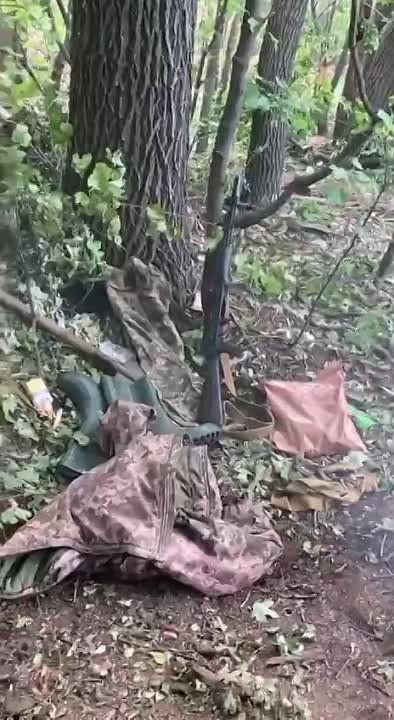 ��������� ������������� ����� ���������� �������� ����������� �� �������� �����������, ��� ��������� ����������� ���� �� ����� ������ ����������� ������� �� ��������� � ���������