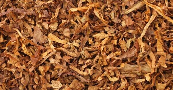 ���� ��������� ����� � ��� � ��� ��������� �������� 500 ������� �� II �������