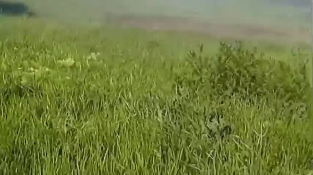 �� ����� ������� � ��������..