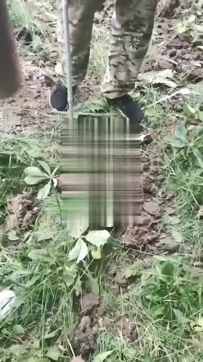 ������� ����� ����� �49 � ����������� ������ �������