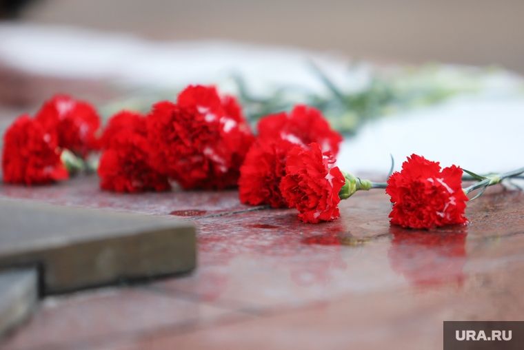 �� �������� ������ ��� ������ �������� ���������� �����. �����