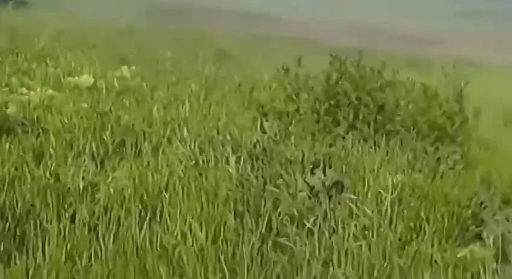 �� ����� ���. ������ | �����������