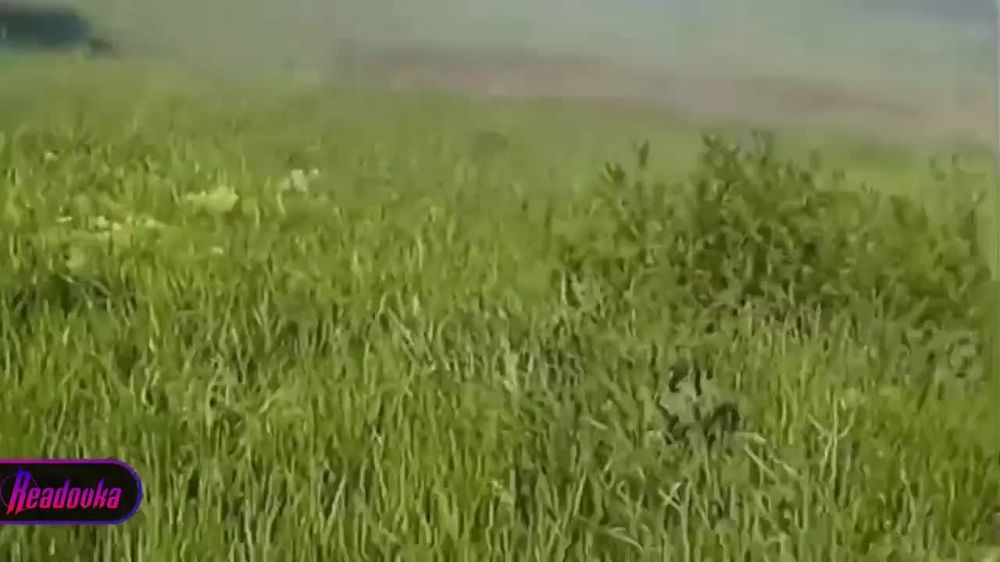 ��� ������ ����� �������, ��������, ��� ������� �� ����� � ������ ���� ����� ����� �� �������� ���