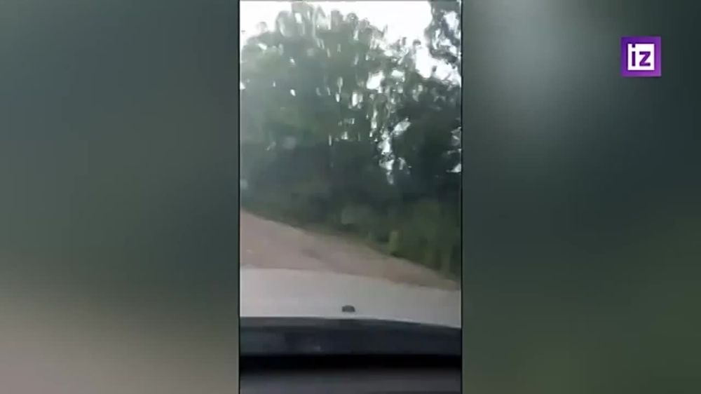 � �������� ��� ������� ������ ������ � ���������� ������
