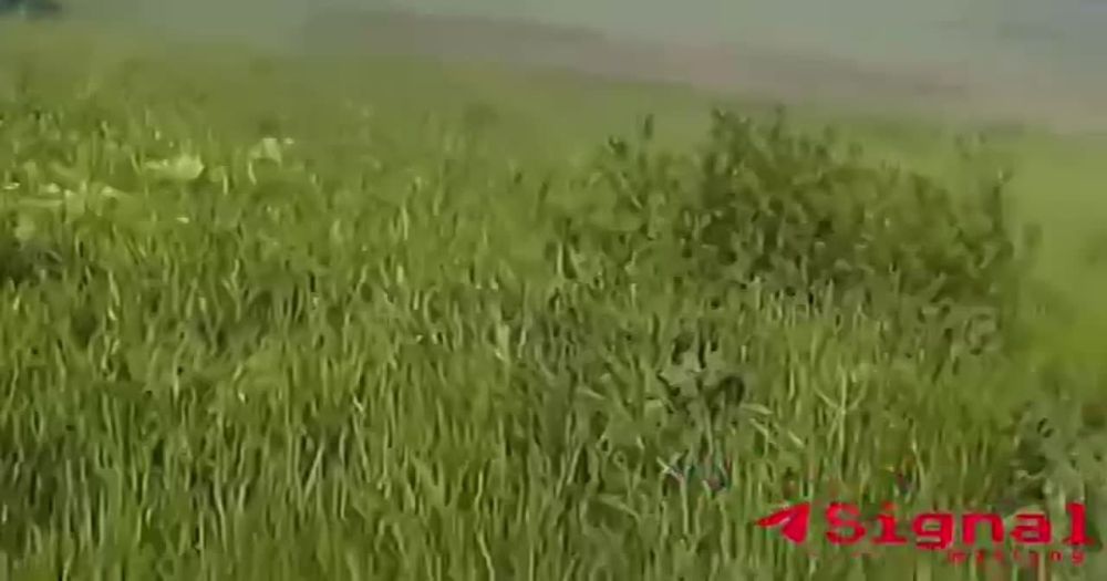 ������ ������ �� ���