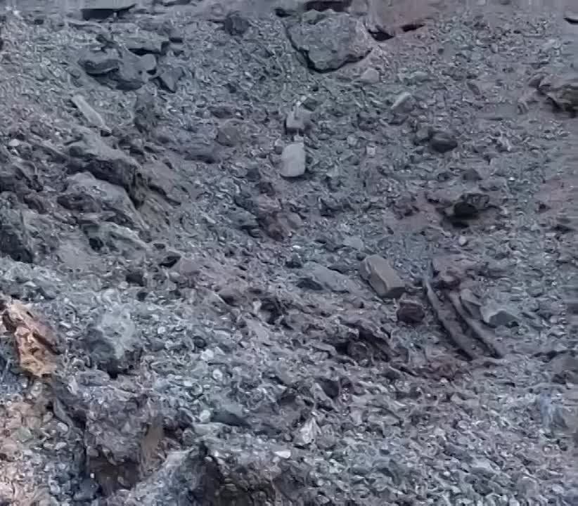 ��� ��������� 15 �������� �������� 155 ��. �� ������ �777 �� ����� ��. �����������, ������������� � ���������� ������ �������