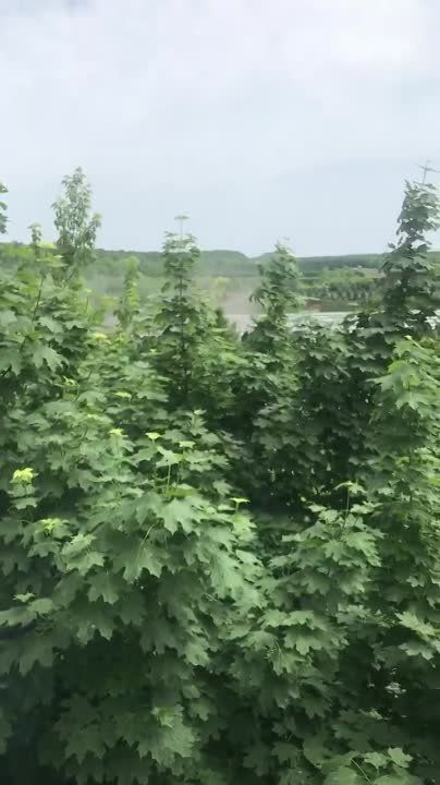 �������� �� �������� ������������� ������ �������