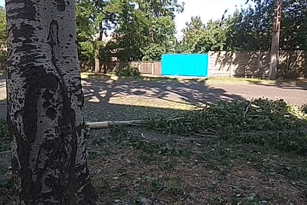 ������, ����������� ��������