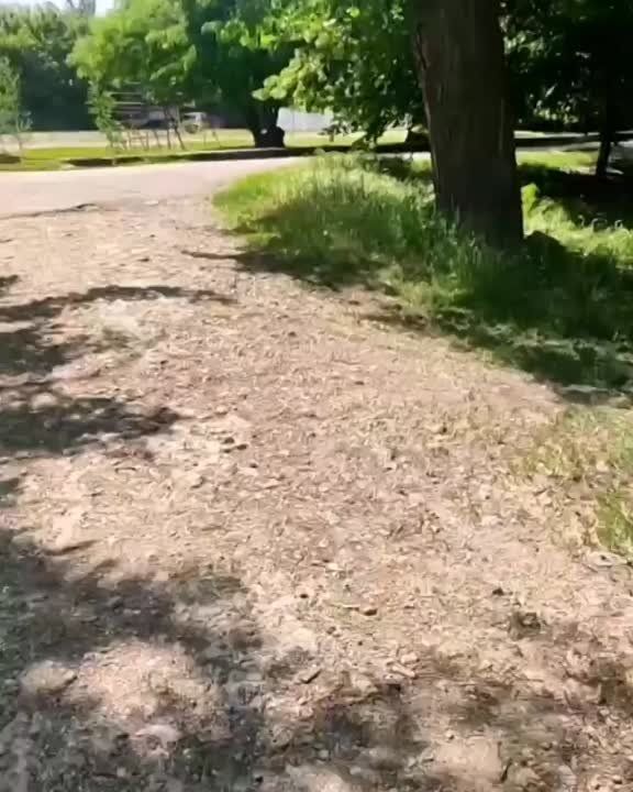 ������� ����� ����� �� �������������� �������� ������� � ����� ����� � ���� ������� � ��������