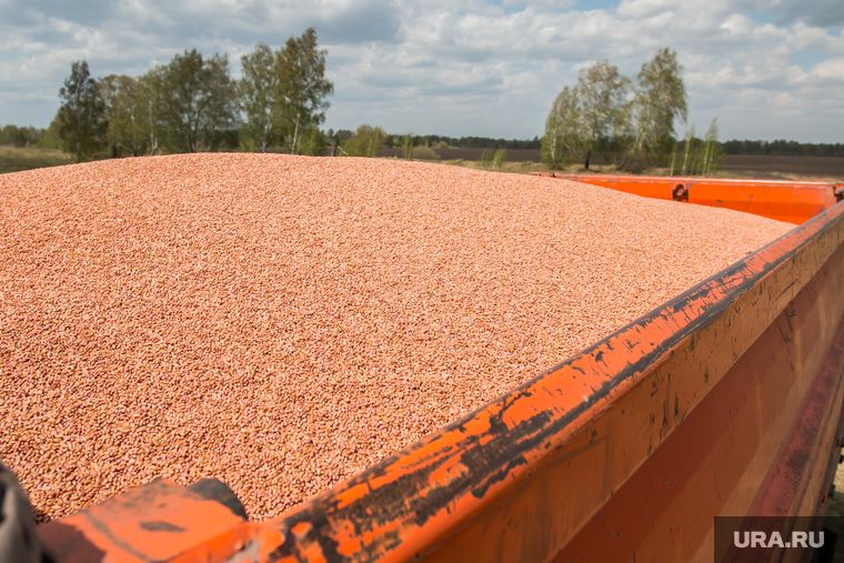 ��: ��� ��������� ������ ��������� � ������ � ����� ���������