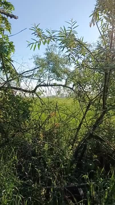 �������� ��������� "������"