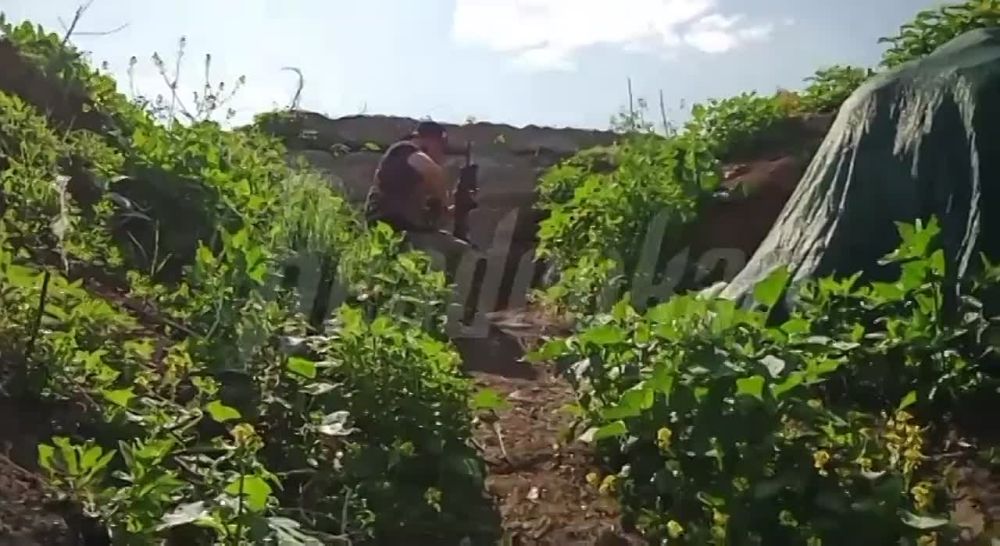 ����� ��������� ���������� ������� ��������� ���������� ����� ��� ��� ���������