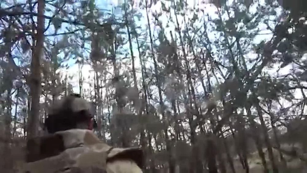 ���������� ������� �������� ������ ����, ����� ��������� ���������� �������