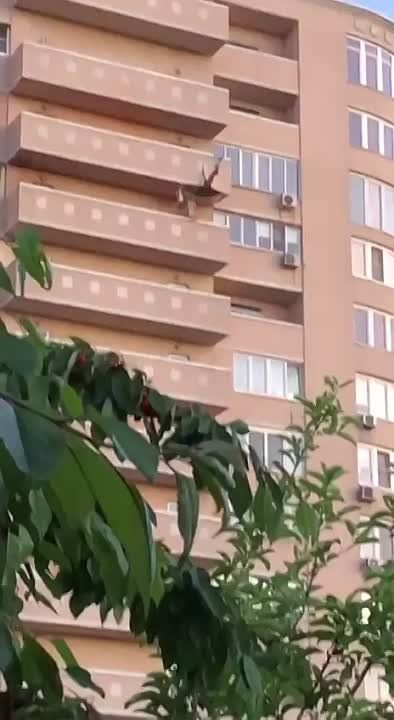 ����������� ������������ ������� ���������� ����� ��� � ������������ ������ �������