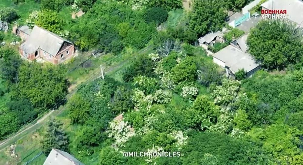 ����� � ������� �� ������ �������� ������ ��������: ����������� ������� ����� ��� ���-������ � ������, ���� ���� � ������ � ���