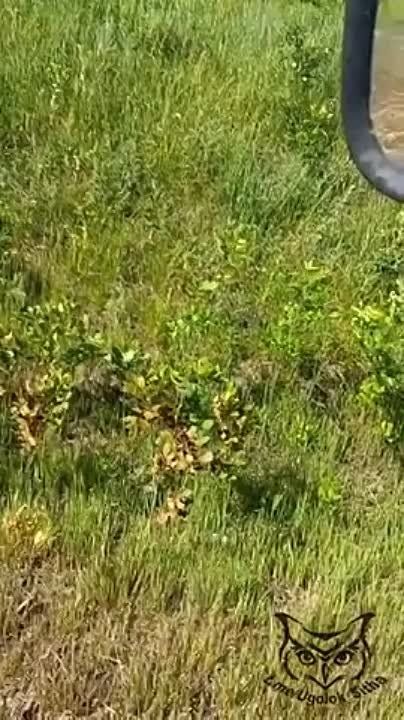 ������ ���� 9-�� ����� �� ��� ��� ���������