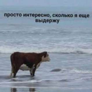 ������� � �������� � ������� � ����� ����: