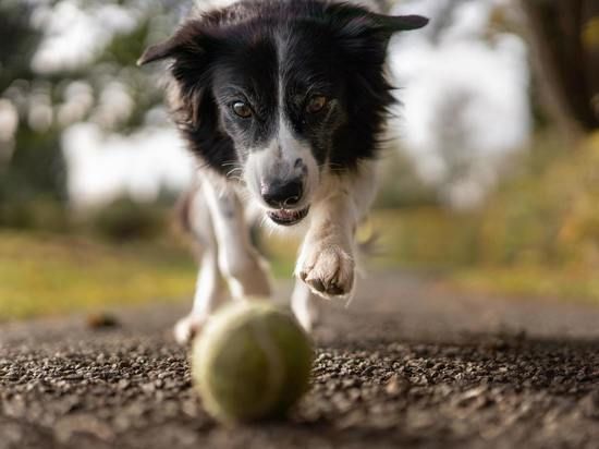 ����������� �� ���������� ������� ��������� ������� � ���������