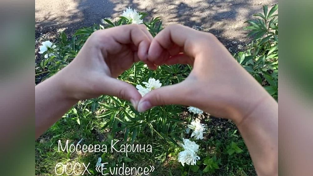 ����� "� ������ - ������" � ���������