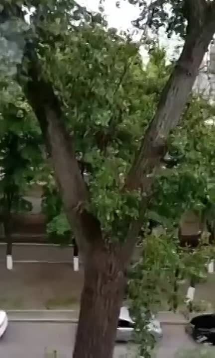 ��������� ����� �� ������� ��������, ������������, ������������� ������ � ������������ ��������