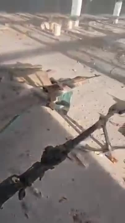 ���������� ������� � ���� �� ������������