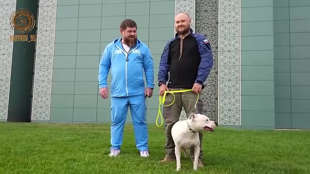 ������ ������� ����������� ����� ��������