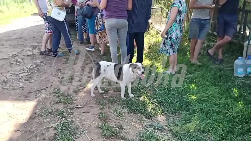 � ���� ������ ������� Readovka ������� ����� ������ � ����������� �������� ������������ ����� � ������������ ���������� ������ ���