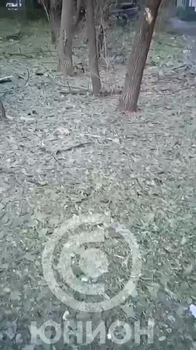 ����� ����������� �������������� �������� ��� ������������� ������ ������� �� ��. ������, 5